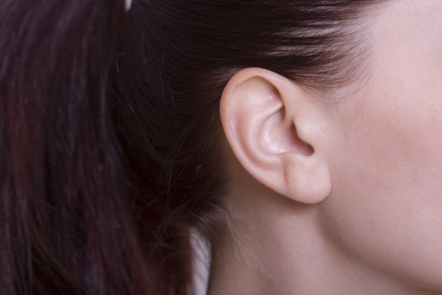 耳の後ろの皮膚イメージ