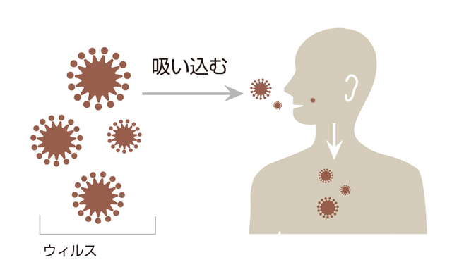NK細胞療法ウイルス