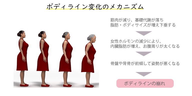 体形の変化