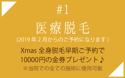 医療脱毛クリスマスキャンペーン