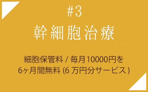 幹細胞治療クリスマスキャンペーン