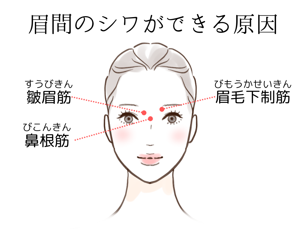 眉間のシワの原因や改善策は?深い眉間のシワを消す治療方法を解説 | フォーシーズンズ美容皮膚科クリニック美容コラム