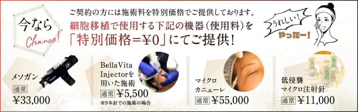 幹細胞 今ならチャンス!特別価格
