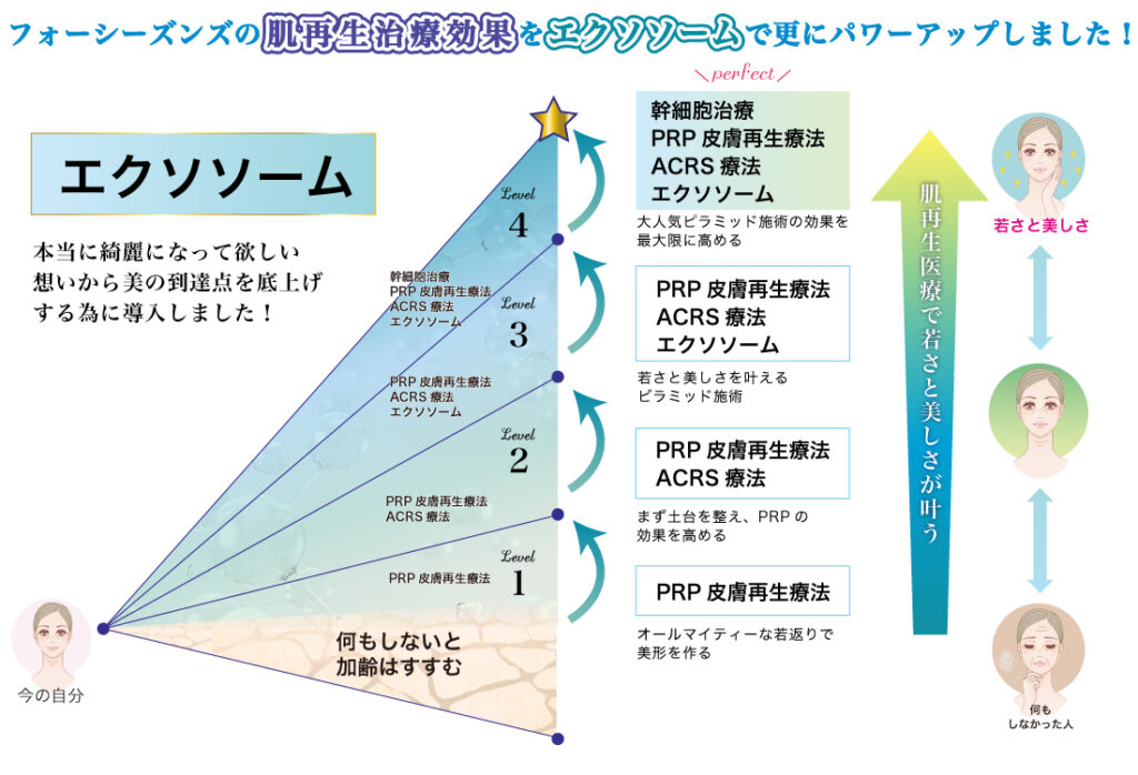 エクソソーム三角青