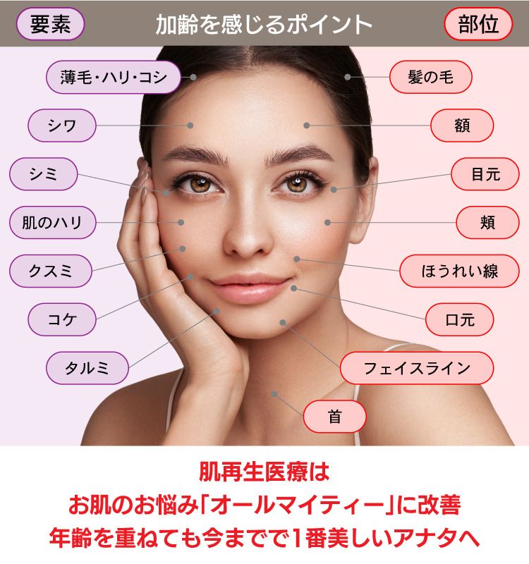 お顔の肌再生で改善できること